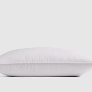 Luxe Goose Down Pillow, Standard, Medium/Firm **Significant Bargain**